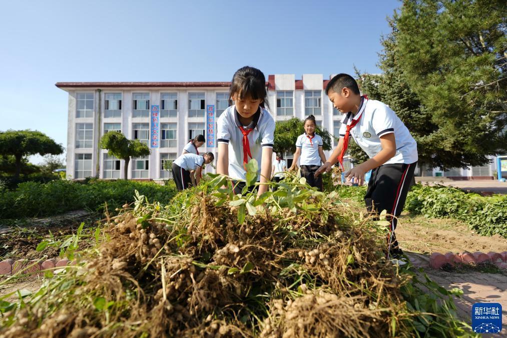 888SL官方网站登录